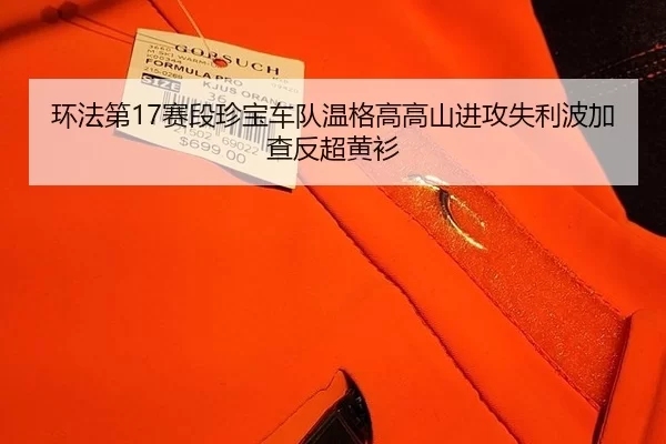 环法第17赛段珍宝车队温格高高山进攻失利波加查反超黄衫